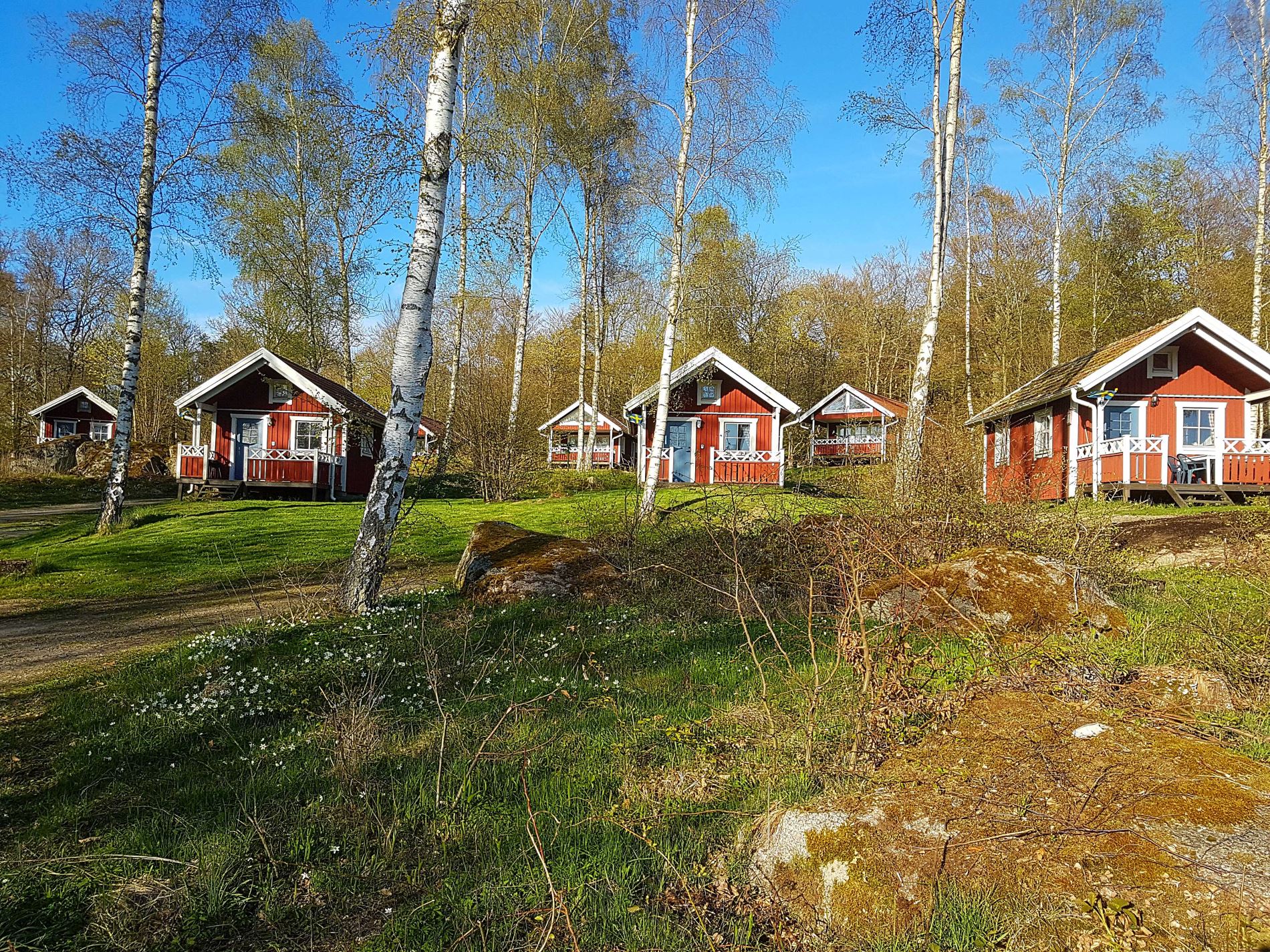 Cabins in Svalemåla Holiday Village by the sea